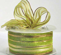 38mm WE SHEER GYPSY STR-Bright Gold