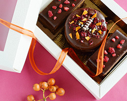 BISCO BOX with transparent lid