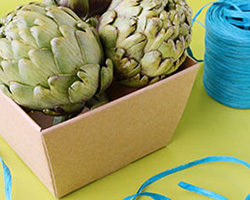 TAPERED TRAYS - Natural Kraft