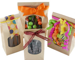 KRAFT PAPER BAGS w WINDOW - 100 bags
