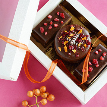 WINDOW & DISPLAY BOXES