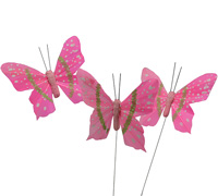 9cm FEATHER BUTTERFLY NATURAL-Hot Pink-Lime