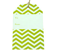 CARDBOARD CHEVRON LUGGAGE TAG-Chartreuse on White