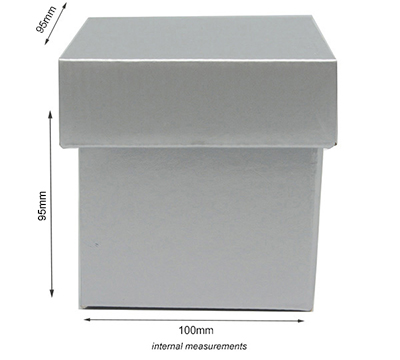 GLOSS BOX and LID PACK-Silver #3