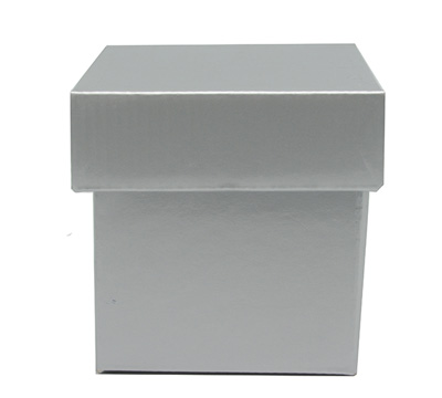 MINI GIFT BOX & LID PACK-Silver
