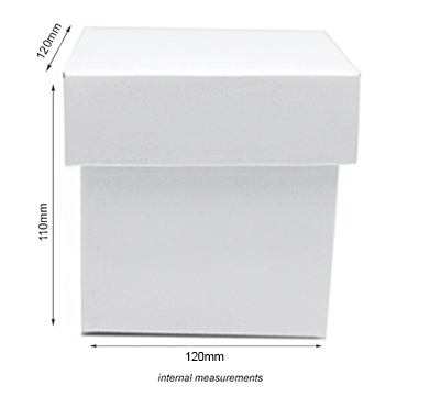 MINI GIFT BOX and LID PACK-Gloss White #3