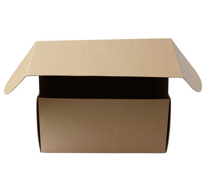 LARGE GIFT SHIPPING BOX PACK- Natural #2