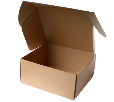 LARGE GIFT SHIPPING BOX PACK- Natural #3