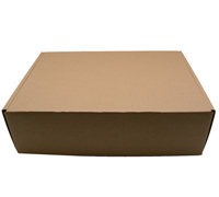 LARGE SHIRT SHIPPING BOX PACK-Natural
