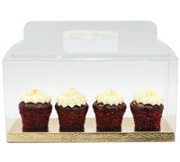 PVC CLEAR JAR CASE-Medium