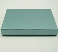 CASEMADE SQ5 PACK-Ice Mint