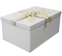 FOLD-UP WEDDING BOX-White