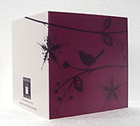 GIFT CARD BOTANICALS-Aubergine on Magenta