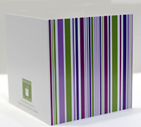 GIFT CARD MULTI STRIPES-Musk-Magenta-Purple-Avocado on White