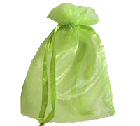 ORGANZA BAG SMALL-Apple