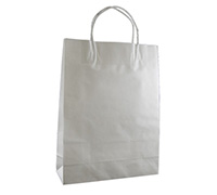 GIFT PAPER BAG SMALL PACK-White Kraft
