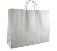 GIFT PAPER BAG LANDSCAPE PACK-White Kraft