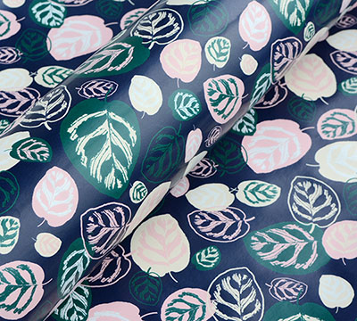CALATHEA WRAP-Cottage #2