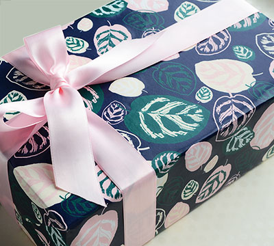 CALATHEA WRAP-Cottage #3