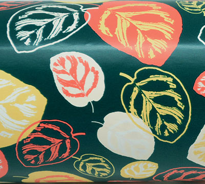 CALATHEA WRAP-Tropicana