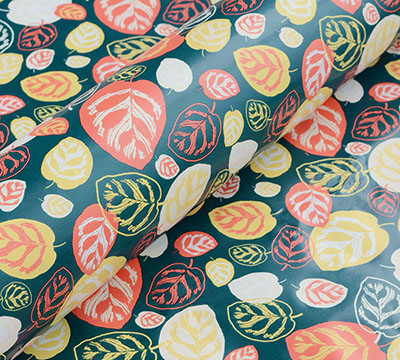 CALATHEA WRAP-Tropicana #2