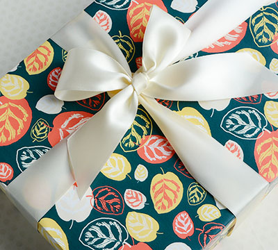 CALATHEA WRAP-Tropicana #3