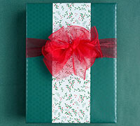 CLASSIC XMAS HOLLY SOLUTION PACK-Red-Green