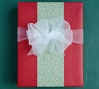 KRAFT XMAS HOLLY SOLUTION PACK-Sage-White-Red